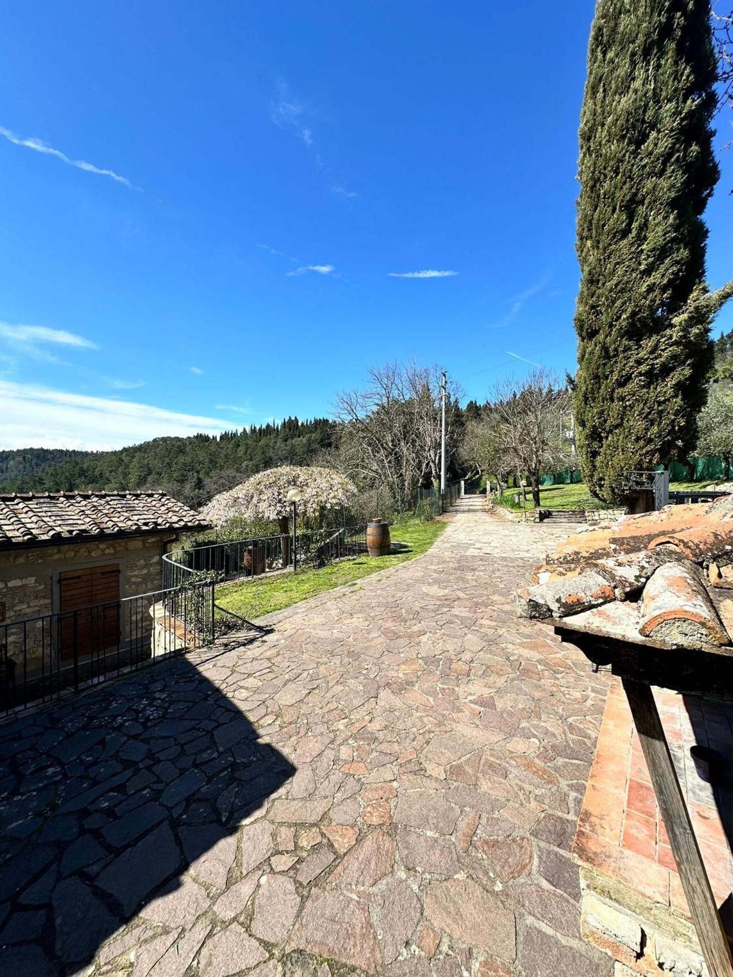 Agriturismo Tassinaia Pontassieve Exterior foto
